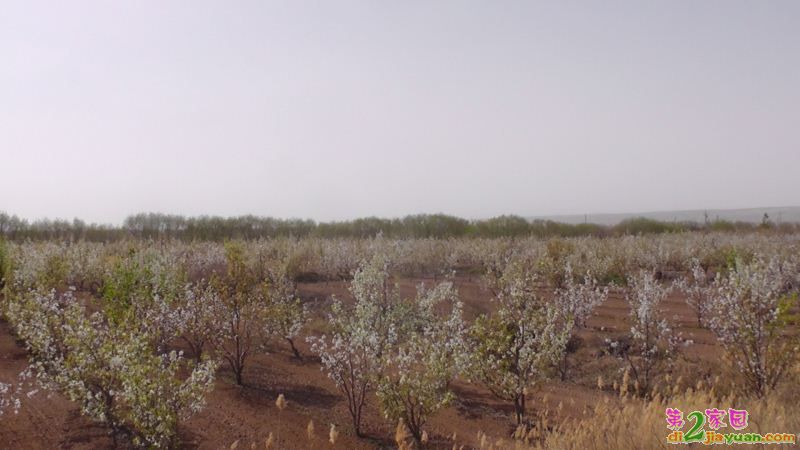 S3120024.JPG