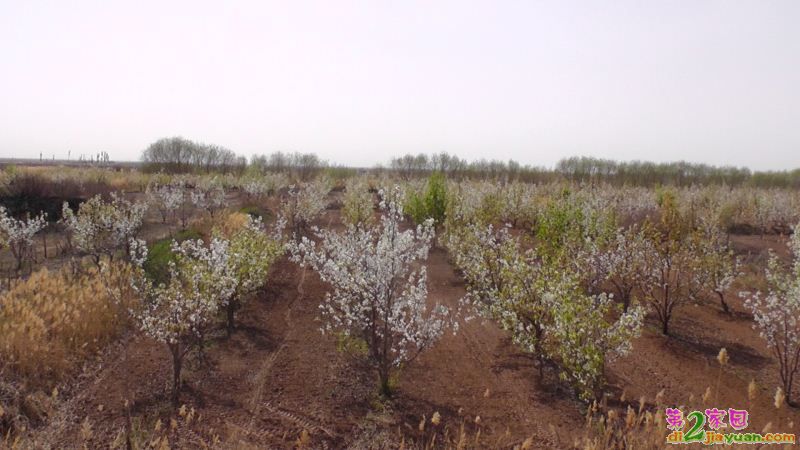 S3120025.JPG