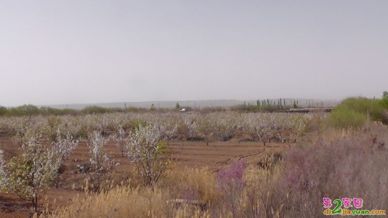 S3120026.JPG