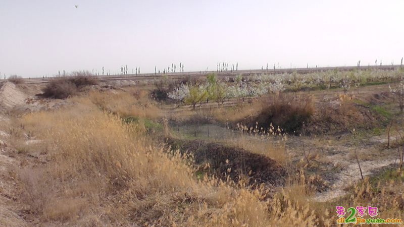 S3120028.JPG