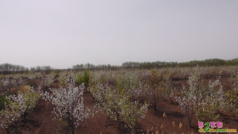 S3120030.JPG