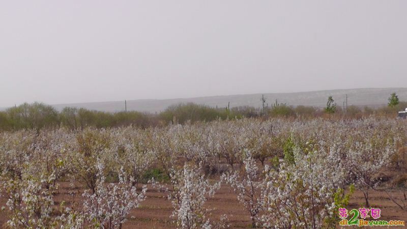 S3120031.JPG
