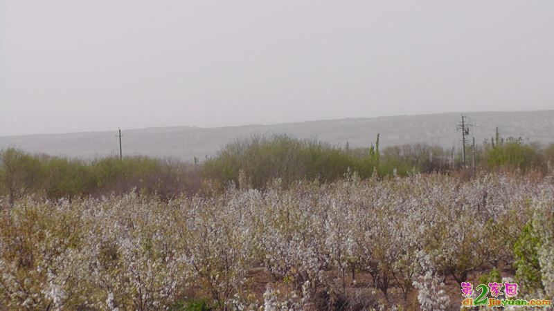 S3120032.JPG