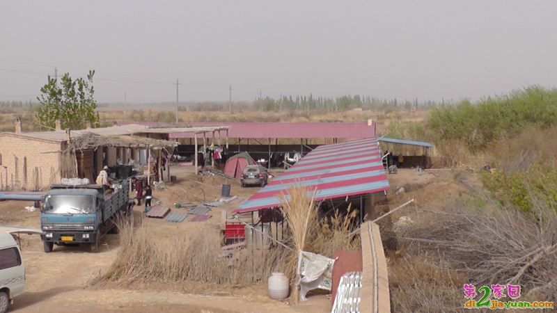 S3130006.JPG