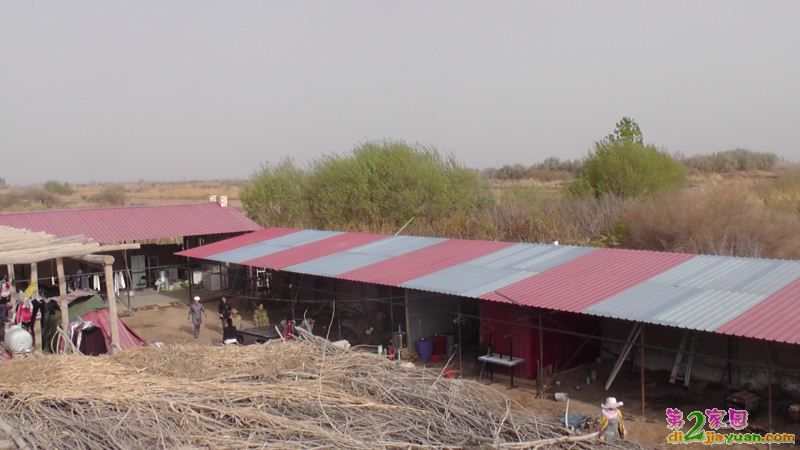 S3130018.JPG