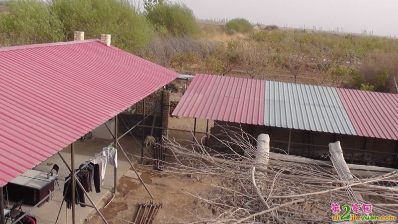 S3130022.JPG