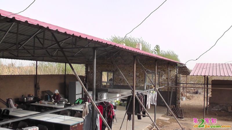 S3130025.JPG