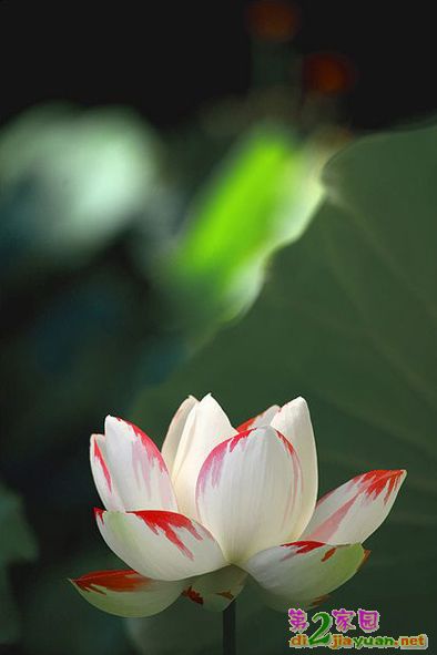 0 (18).jpg
