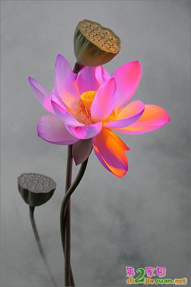 0 (19).jpg