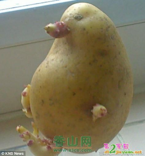 223840d00f0edtm0mdzs0h.jpg