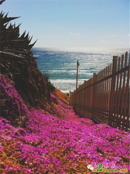 0 (27).jpg