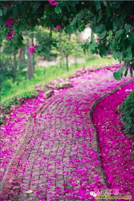 0 (29).jpg