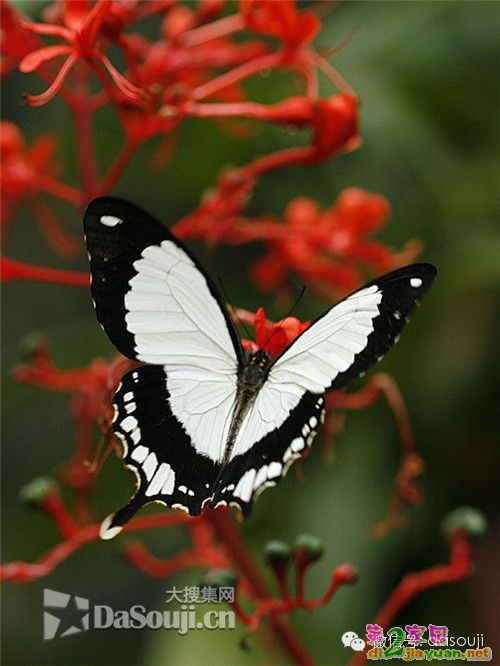 0 (70).jpg