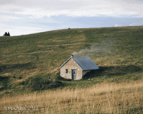 460 (1).gif