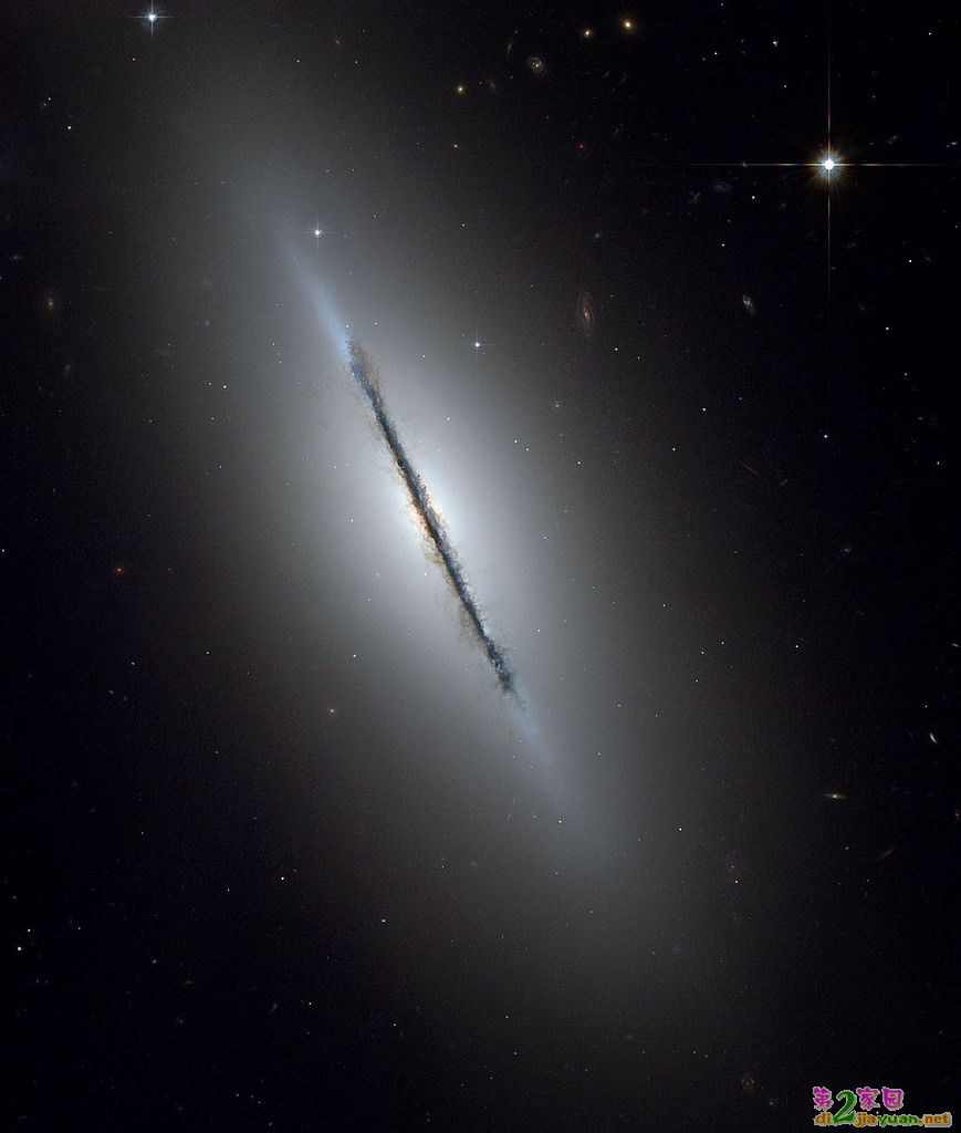 290.jpg