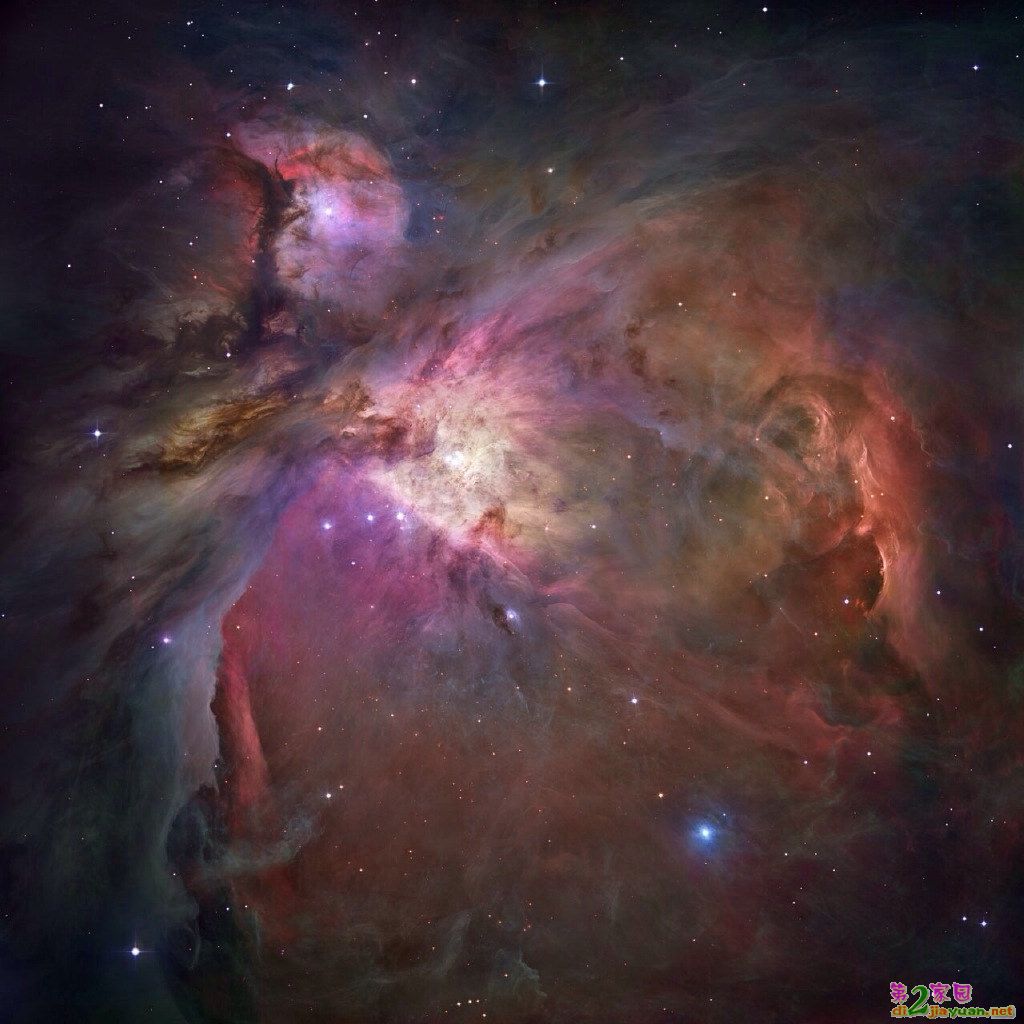 295.jpg