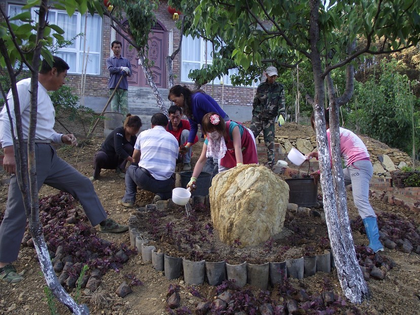 081337kj2puqu4zuhnrrx8.jpg