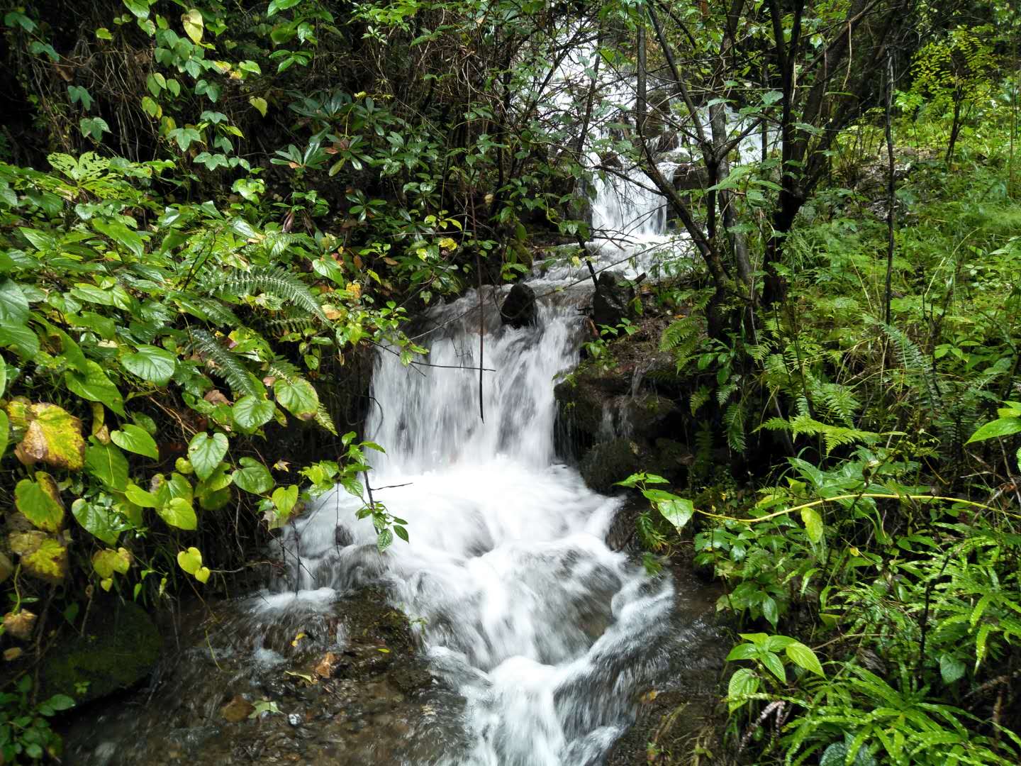 ΢ͼƬ_20171004192317.jpg