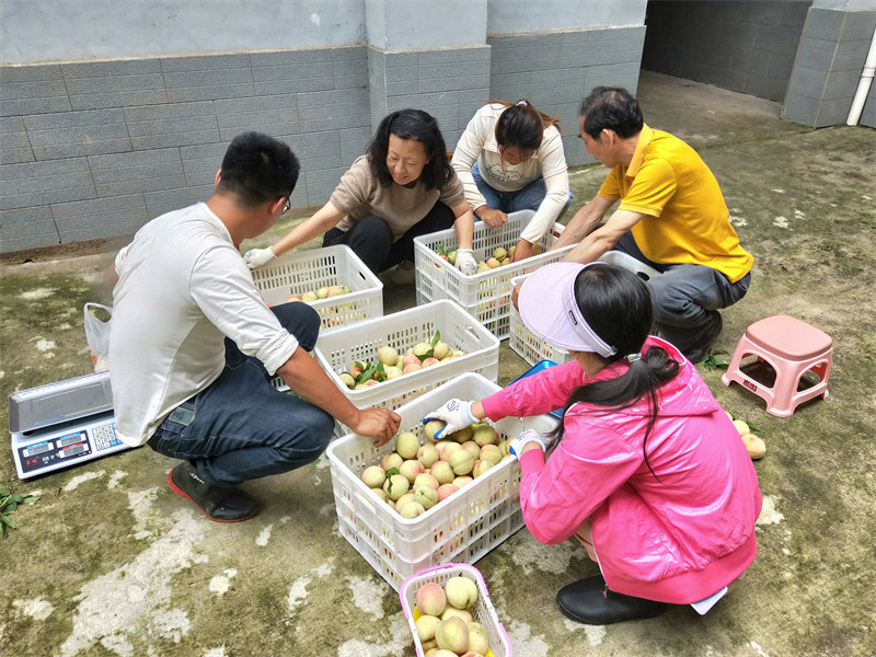 IMG20230606120333.jpg