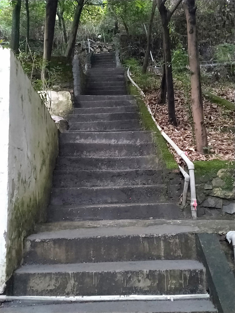 IMG20230622191140.jpg