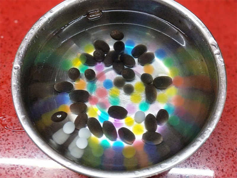 IMG20230626073720.jpg