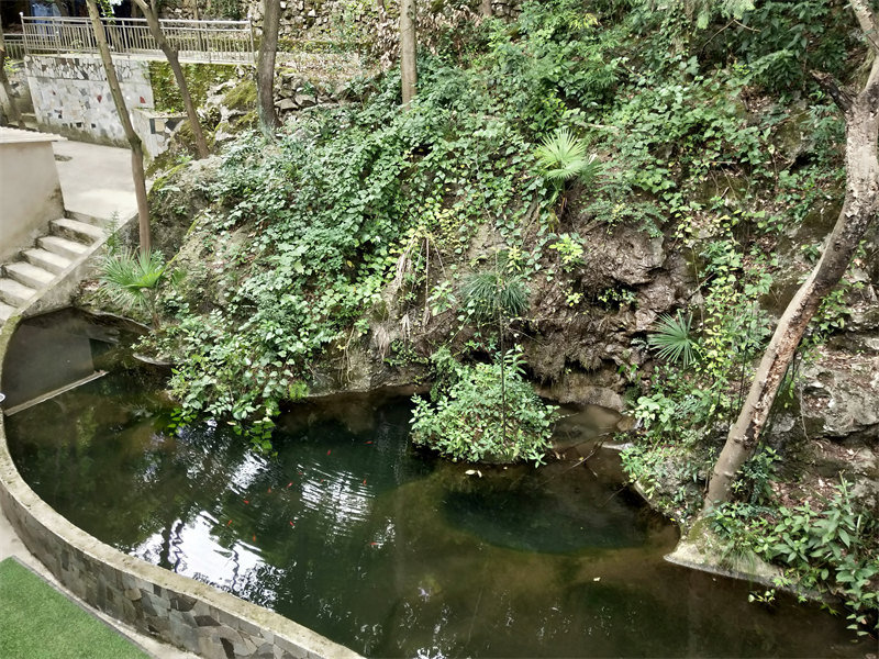 IMG20230628091723.jpg