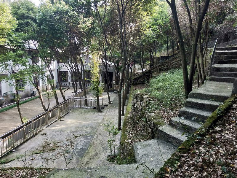 IMG20230711091638.jpg