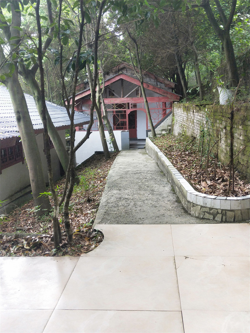IMG20230715092540.jpg