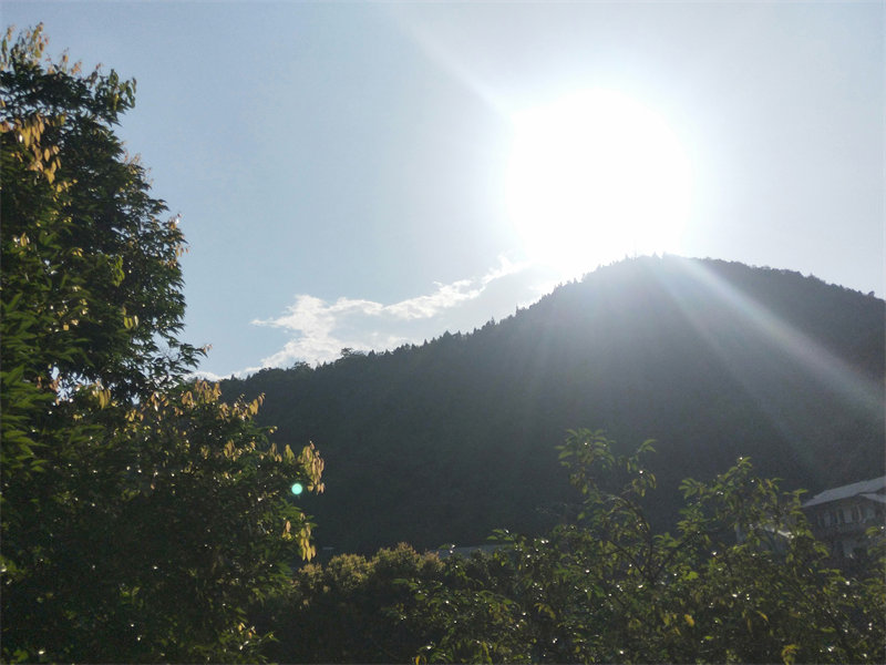 IMG20230716175153.jpg