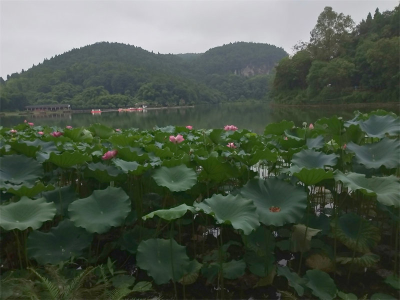 IMG20230722093301ɽׯ渽ĺ.jpg