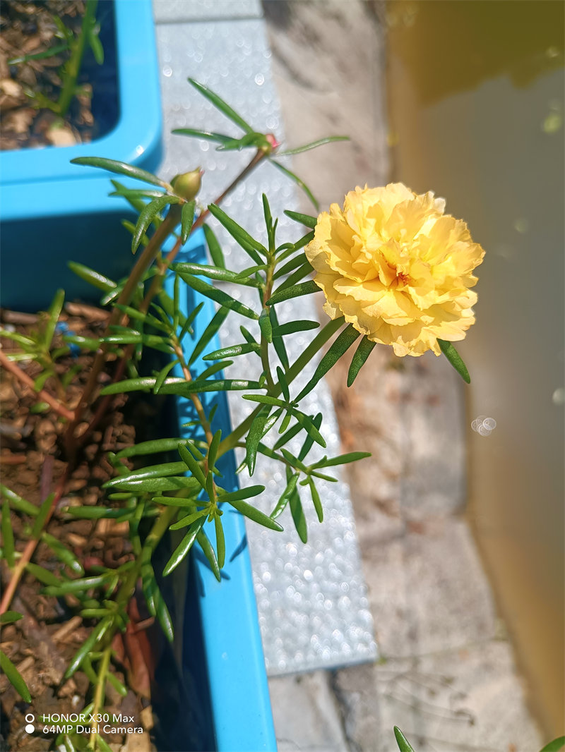 IMG20230725112425.jpg