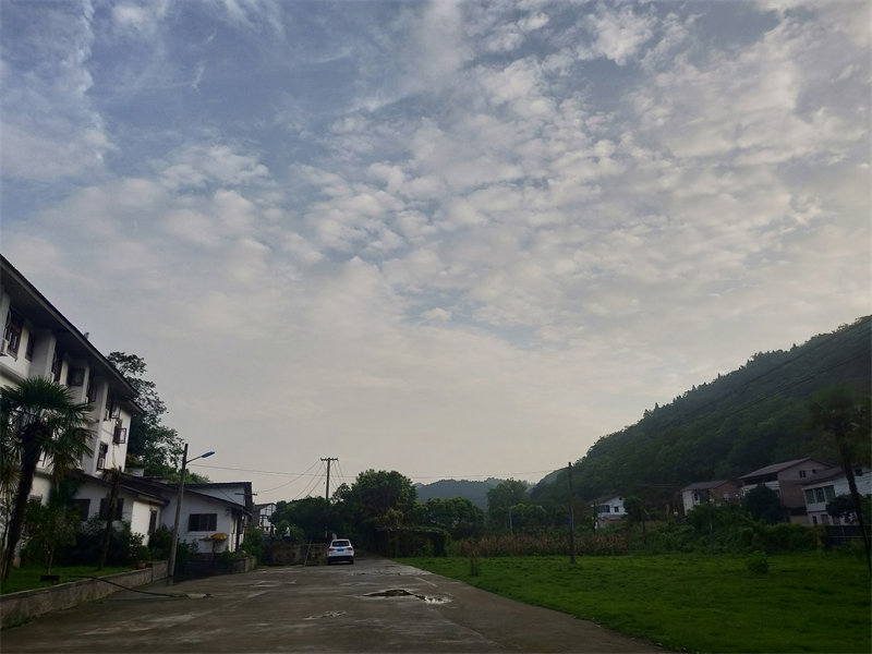 IMG20230728191423.jpg