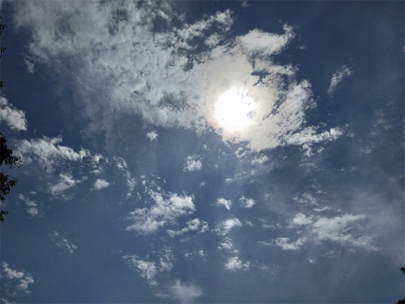 IMG20230729152209.jpg
