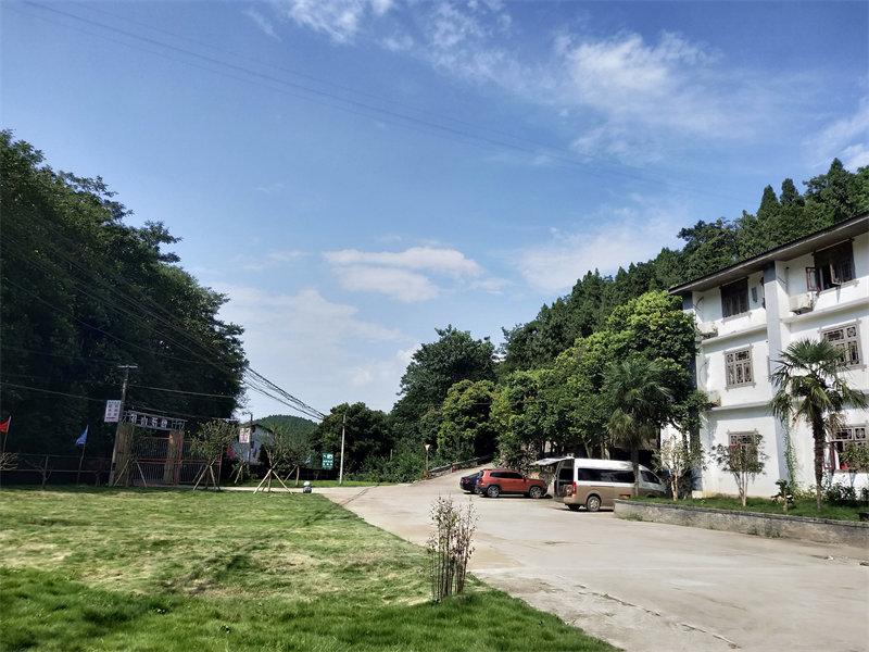 IMG20230729155545.jpg