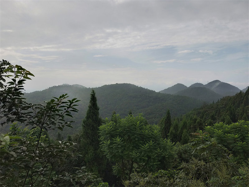 IMG20230802074933.jpg
