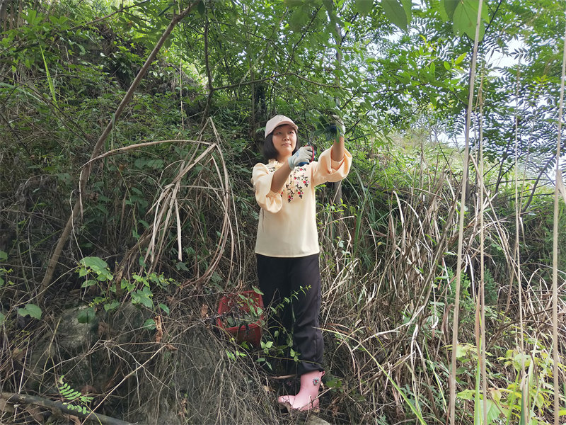 IMG20230802092451.jpg