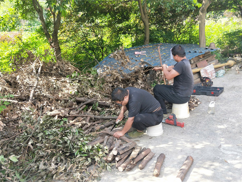 IMG20230806153649.jpg