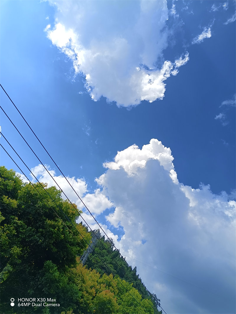 mmexport1690977856327.jpg