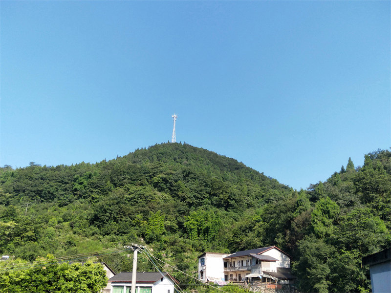 IMG20230809090250.jpg