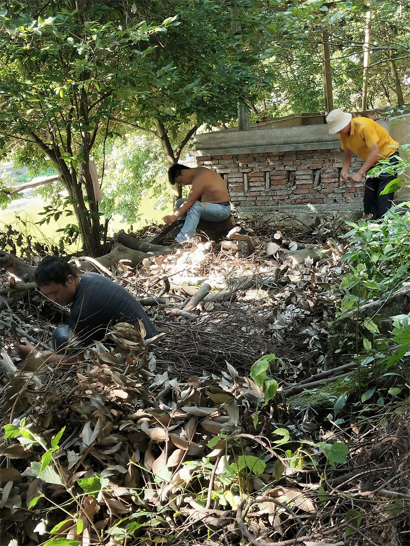 IMG20230814163115.jpg