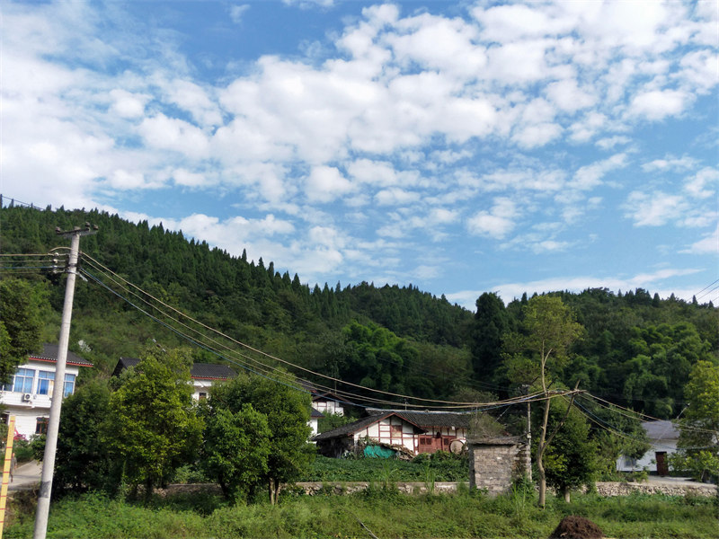 IMG20230913164229.jpg