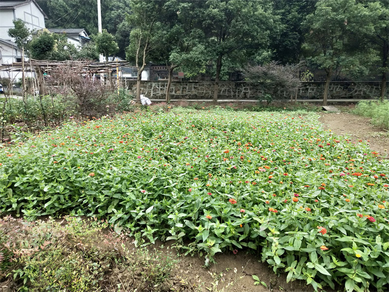 IMG20231012154736.jpg