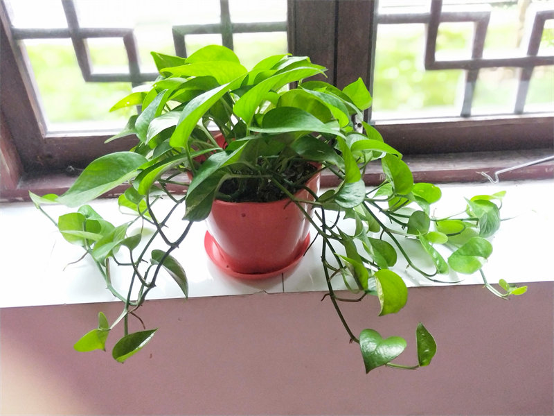 IMG20231013080314.jpg