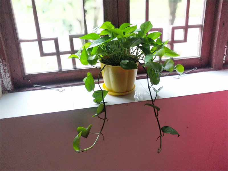 IMG20231013080450.jpg