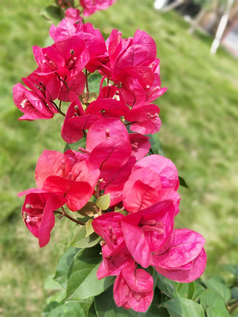 IMG20231014135933.jpg