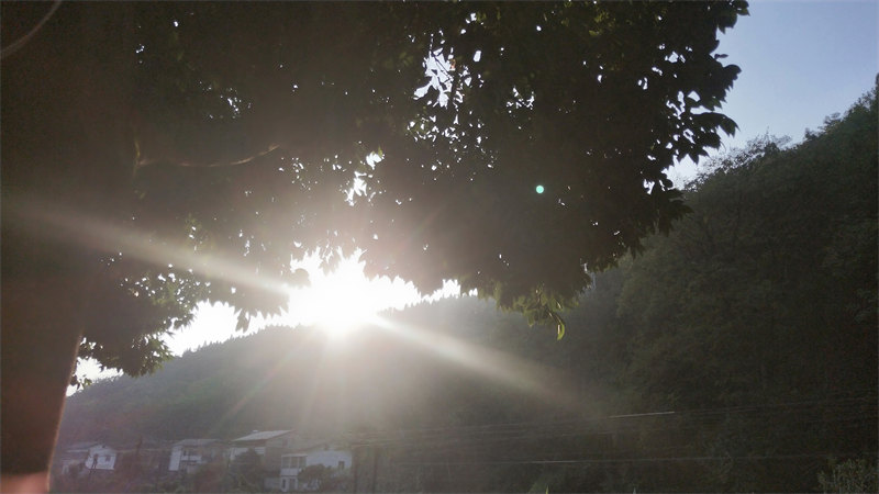 IMG20231014171132.jpg