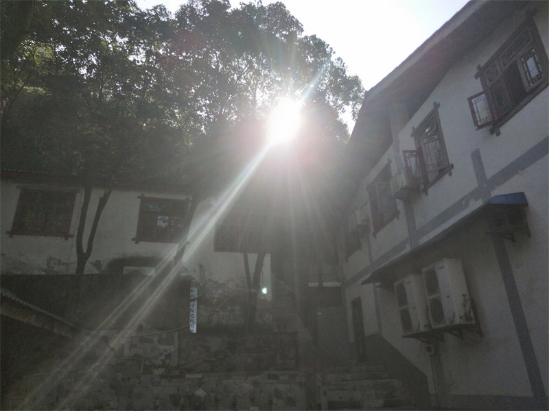 IMG20231015095029.jpg