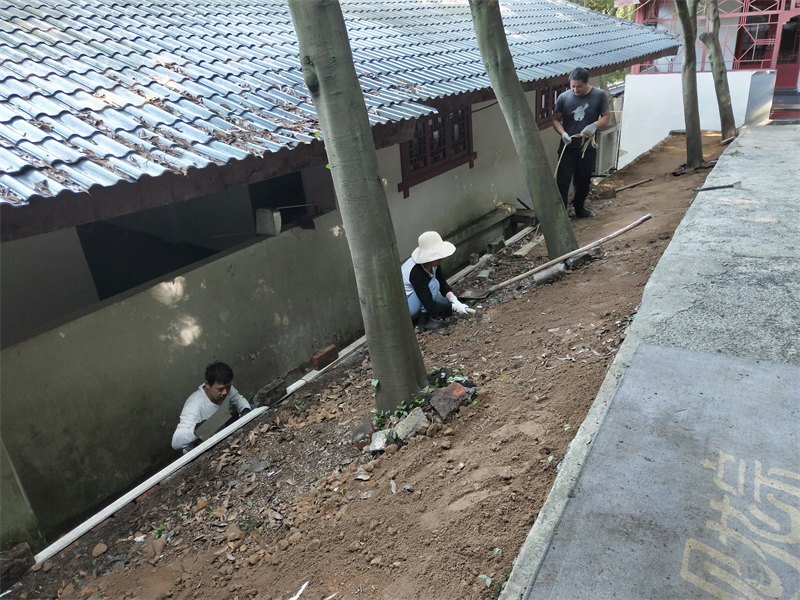 IMG20231016101916.jpg