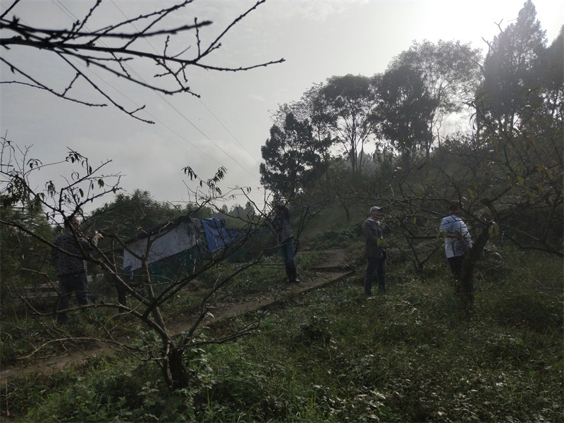 IMG20231029092045.jpg