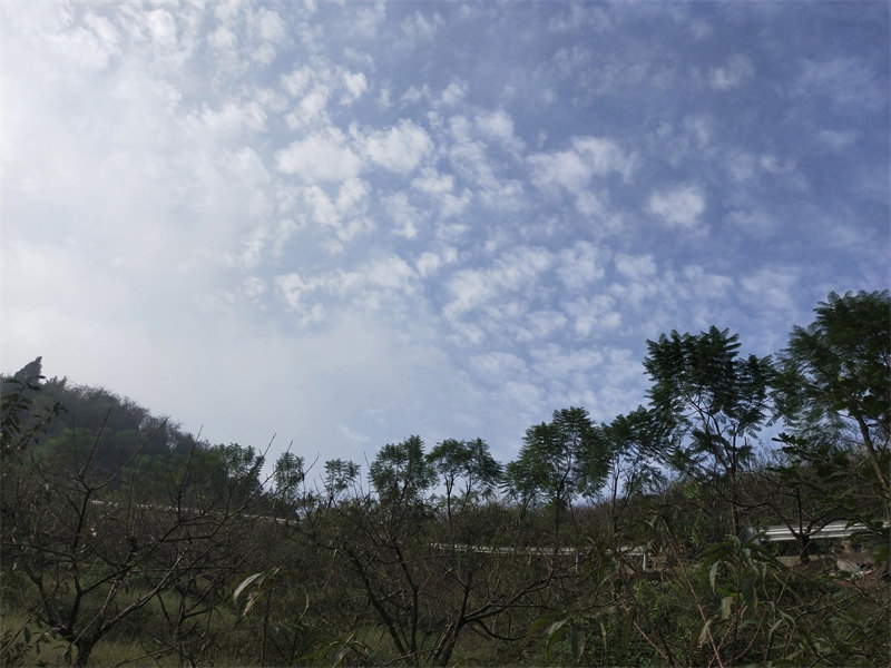 IMG20231029092146.jpg